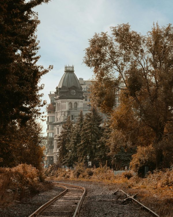 pexels-kovyrina-18625778